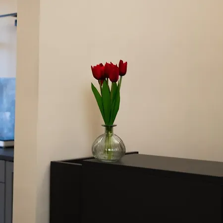 Suites 215 Colosseum - Guesthouse